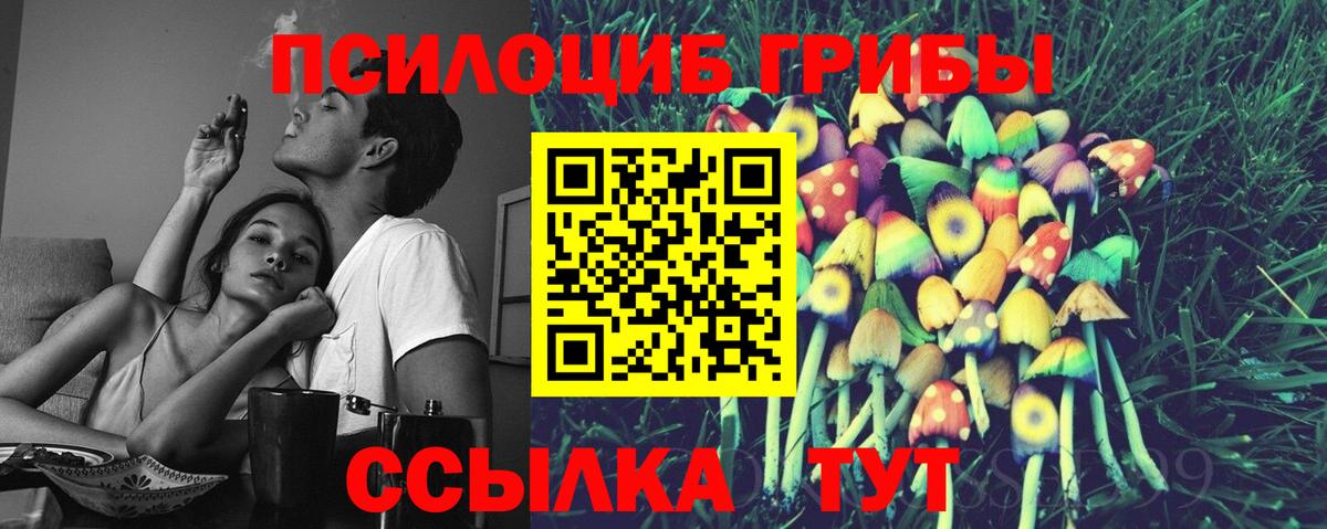 Псилоцибиновые грибы мухоморы Гагарин