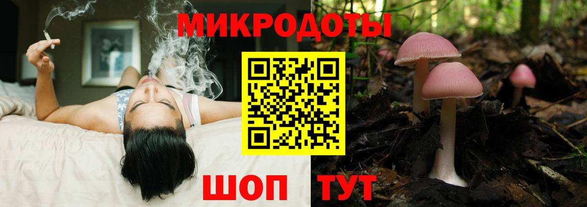 Галлюциногенные грибы Psilocybine cubensis  Вход с VPN  Гагарин 
